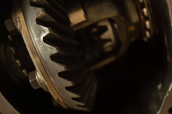Inside of differential showing spider gears