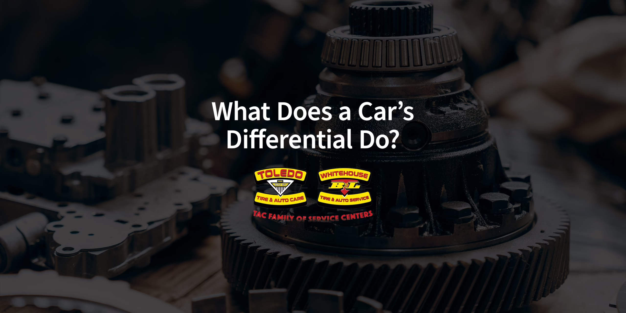What Does a Car’s Differential Do?